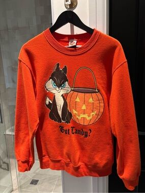 Vintage 90s warner bros looney tunes halloween sweater